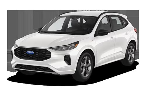 Sport Utility